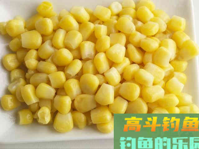 钓鱼打窝有技巧，补窝也同样很重要