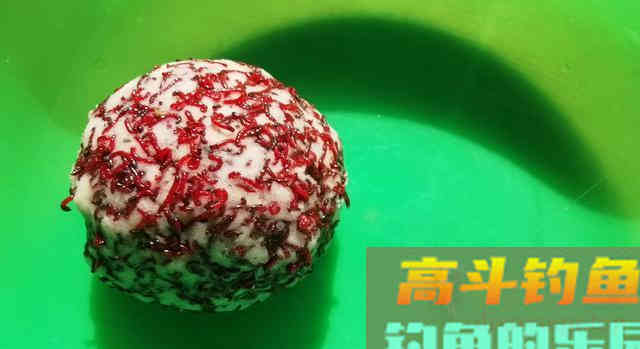 红虫白饵到底是什么？如何自制、开制和调整