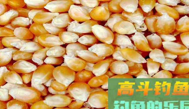 无意间得到一套钓草鱼的饵料配方，分享给钓友