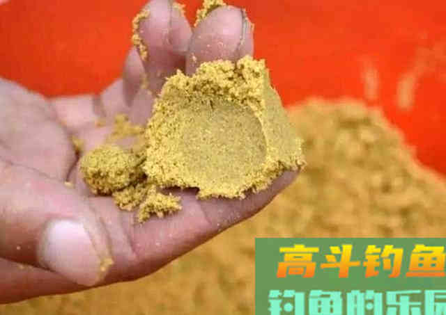 小黄面为什么风靡黑坑？它是一种怎样的钓饵