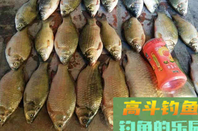 野钓鲫鱼时，可以供钓友们选择的一些特效饵料