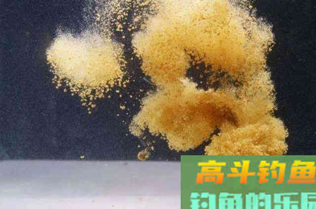 冬季野钓鲫鱼时，需要钓友牢牢记住的5字打窝秘诀