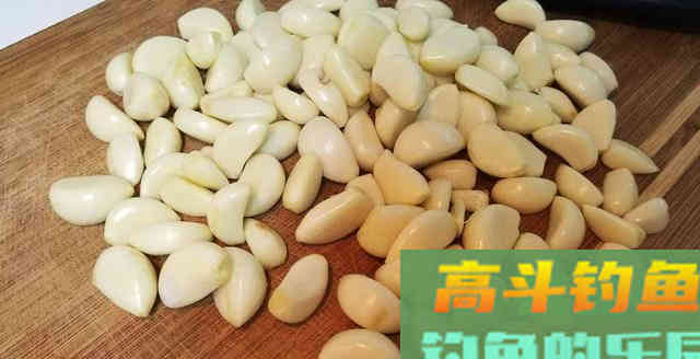 吃完肉的骨头别扔，拿来做窝料，穿透力强诱鱼快