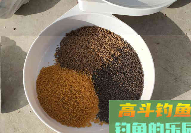 反状态开饵法：浮水颗粒不浸泡，实现立体诱钓出全效