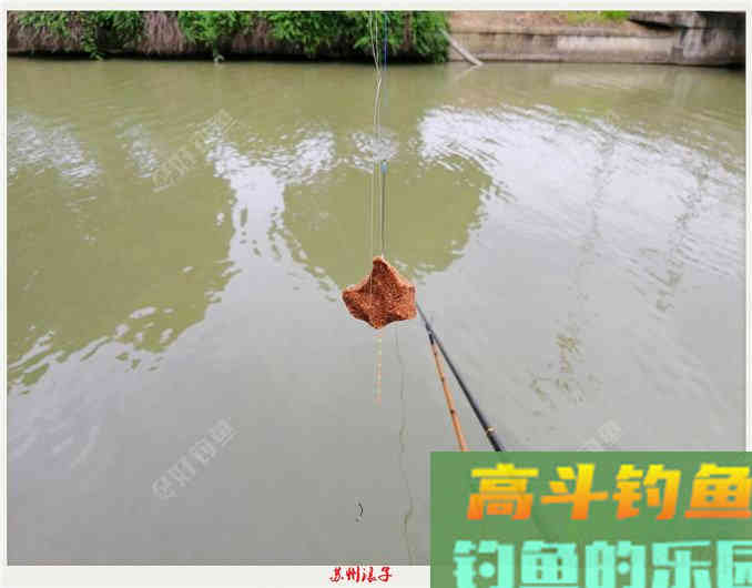 夏天大鱼诱惑之搓饵，高手探讨饵料