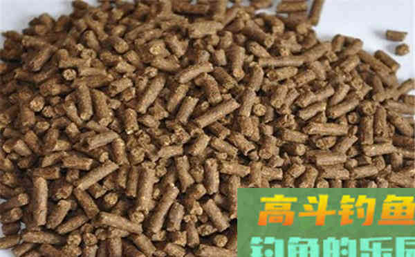饵料搭配需要考虑的4个因素