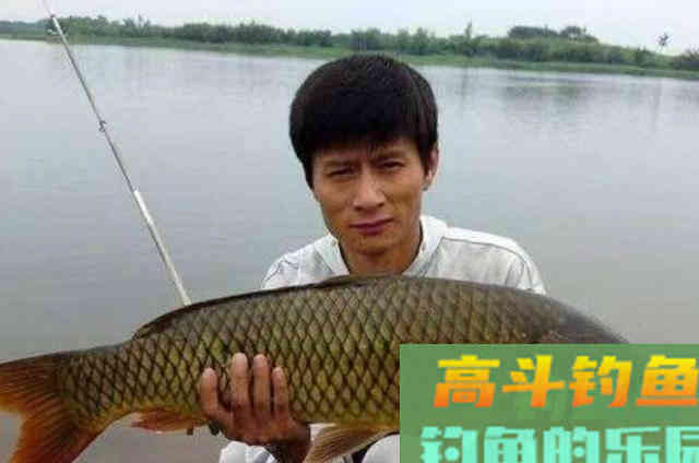 5大公认的特效饵，比商品饵好用得多