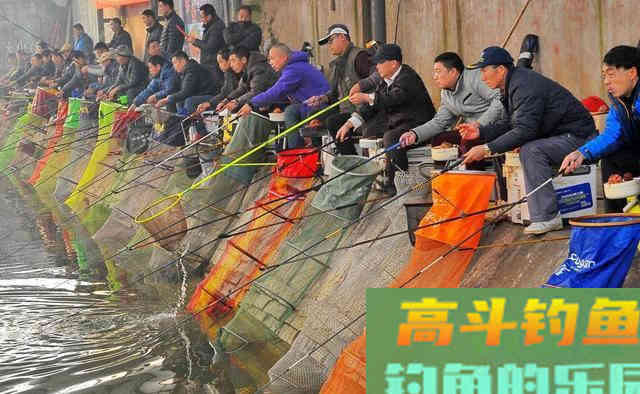 液体虾饵伴侣到底是什么？解密虾拉饵添加剂