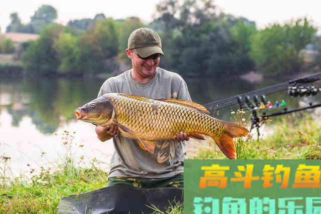 这款自制饵料专钓大鲤鱼，每次一小盆，从未失手过
