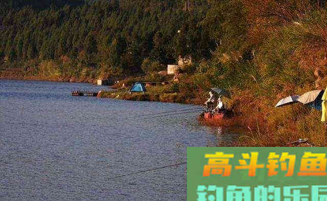 4种错误的打窝方式，浪费窝料还钓不到鱼