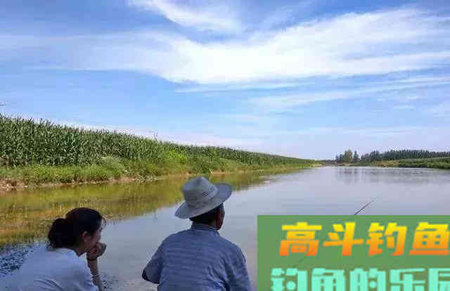 打窝的这些错误做法，浪费窝料还钓不到鱼