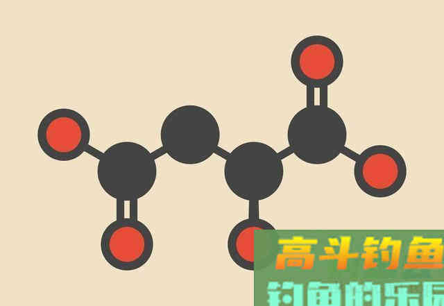 探究饵料苹果酸，它能量强劲却因味型低调被误解