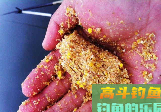 钓鱼打窝绝学分享，诱鱼不理想的钓友看过来
