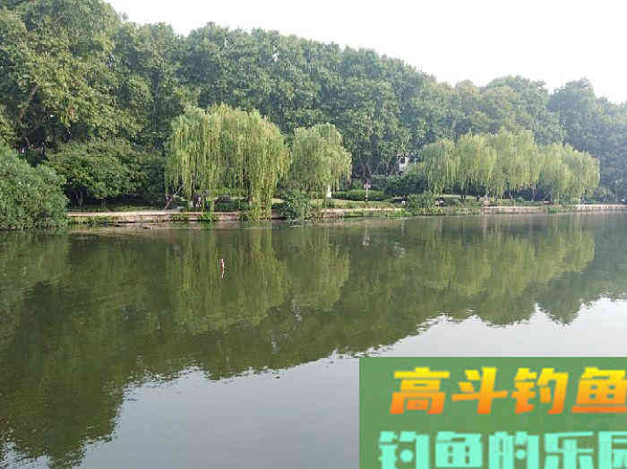 我对状态饵浅识和实操