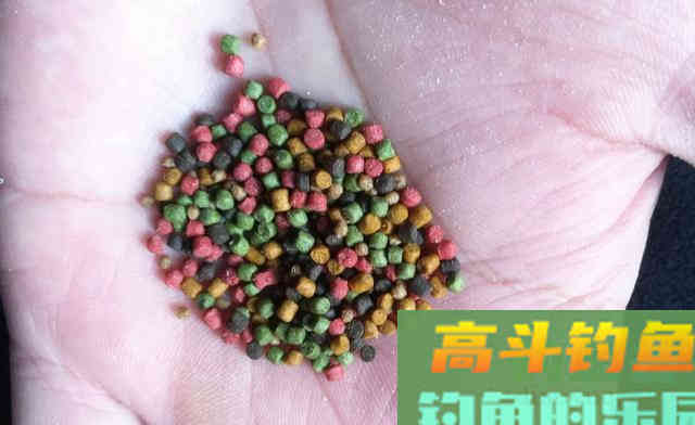 高蛋白颗粒、开口料、能量料的钓鱼选择和避坑技巧