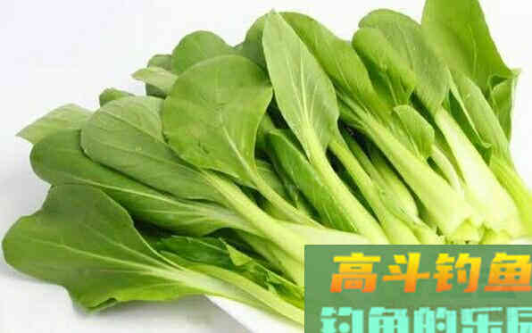 传统钓用饵技巧，新手也容易上手