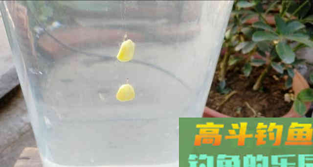 钩饵在水底的五种状态
