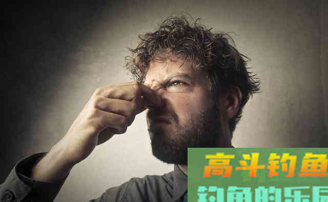 味型决定了饵料的效果？错，这4类无味成分才是主导