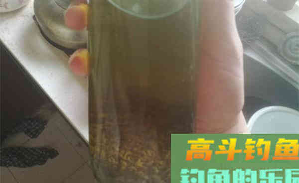 秋意浓桂花香，自制桂花酒米，四季通用，狂拉大鲫鱼