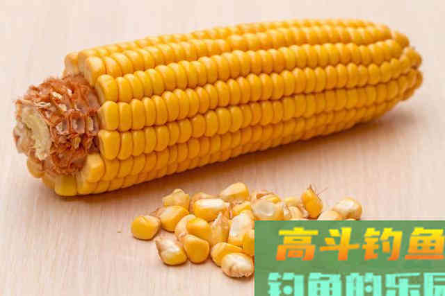 玉米是钓大鱼利器，这些才是利用玉米钓大鱼的正确方法