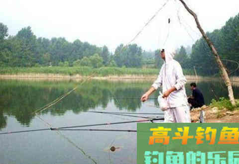 窝料随手一扔就完事?分享一下个人的打窝经验