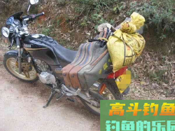 如何制作玉米粒钓饵？如何选点打窝与玉米粒使用技巧