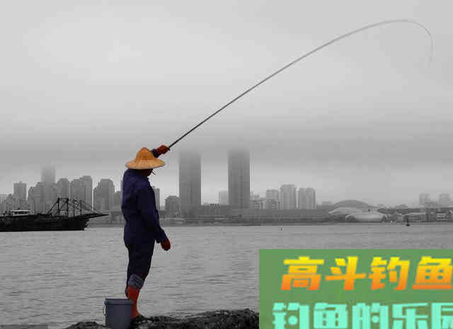 野钓饵料不一定越腥越好，浓引淡钓？分析鱼情才能钓好鱼