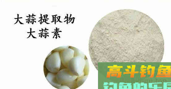 晚秋用腥饵，也要有技巧，这么做才能大鱼进窝小鱼不闹