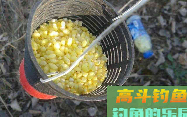 冬季钓鱼，窝子打多还是少？老钓友这样打