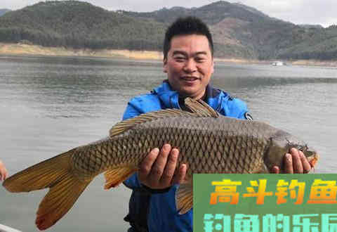 钓友们赶紧看过来，聚鱼技巧，分分钟助你爆护