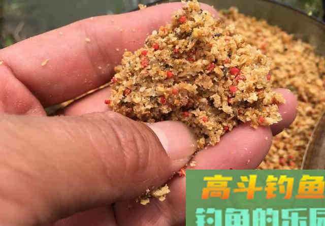 诱鱼、留鱼并非只能靠窝料，学会抽窝比打窝更高效