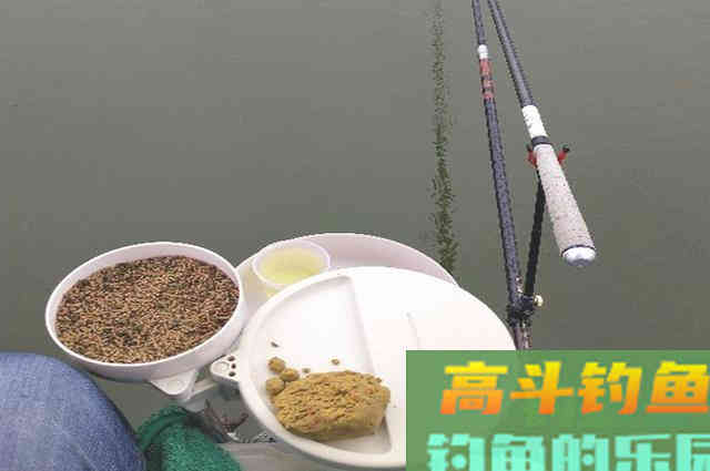 钓鱼打窝前，钓友把这些搞清楚，才能钓好鱼