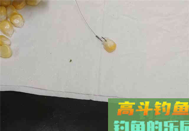 嫩玉米这样挂可大幅提高中鱼概率，不同的鱼用不同挂法
