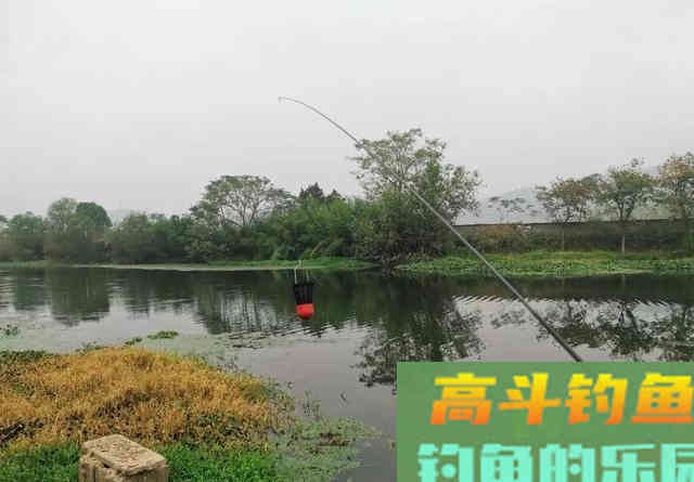 想要钓得多，自己得先走出添加剂的误区，3种错误认知不要有