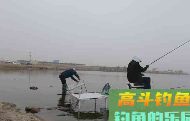 比蚯蚓还好的谷麦钓饵，用好了整个水库只有你爆护