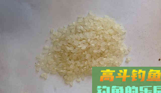 简单易学，自制钓鱼酒米教程来了，想学的别错过