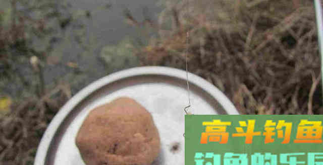 密不外传的冬钓用饵5字口诀，学会的钓友偷偷用吧