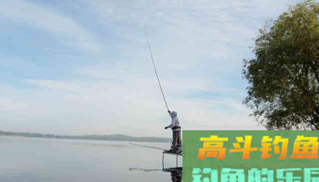 自制好酒米，且酵香入味、成本低廉，诱鱼必备