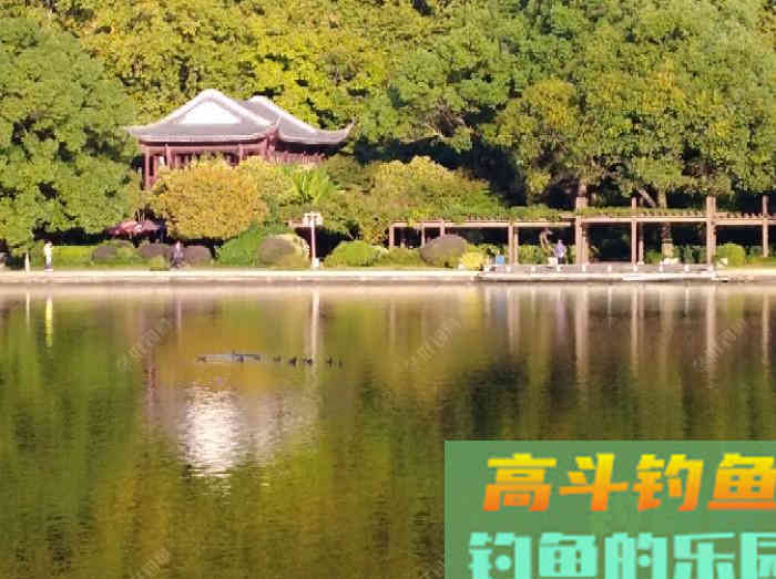 自制钓鲫鱼酒小米的几个误区，可帮助你钓获大鲫鱼