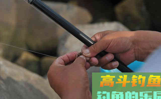 钓鱼高手们为啥咋钓都上鱼？原来用饵真是门学问
