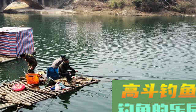 蚯蚓做钓饵都没口，不一定是水中没鱼