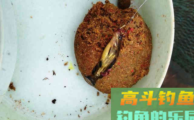 浑水中钓鱼，用这2种方法做窝，渔获少不了