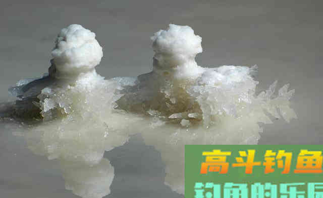 它被称为化学工业之母，却大量添加于饵料