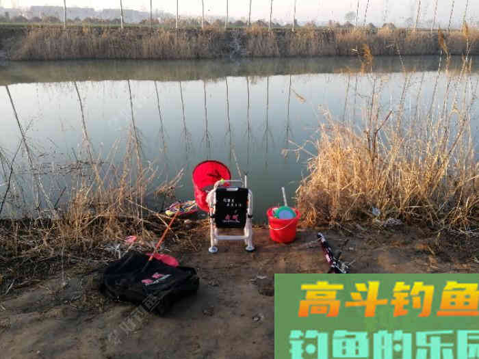 钓鱼打窝技巧——我自身经历的钓鱼