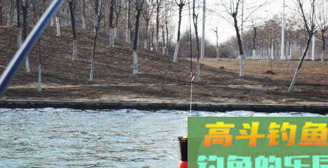 分享几种钓鱼酒米延伸用法