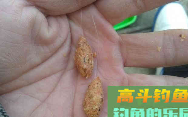 秋末钓鱼，饵料用腥还是用香？选错又是浪费时间去喂鱼
