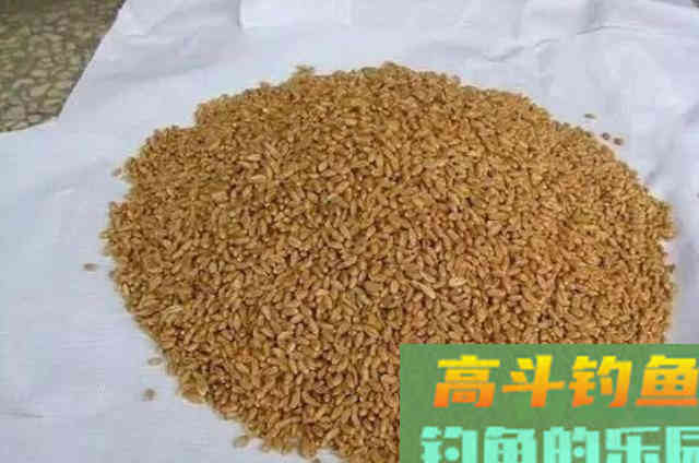 天气热，对付,鲫鲤鱼就得用这饵