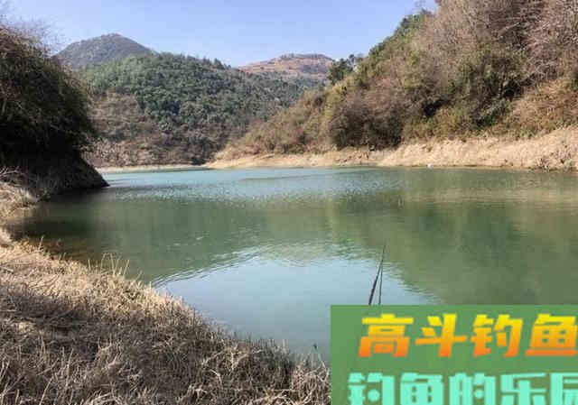 长江野钓，自制纯粮食饵料教学，钓获3条长江野生大鱼