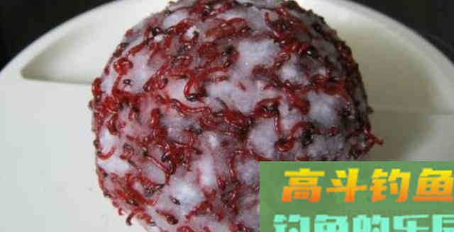 冬季钓鱼如何妙用红虫？总结完只剩4个好方法
