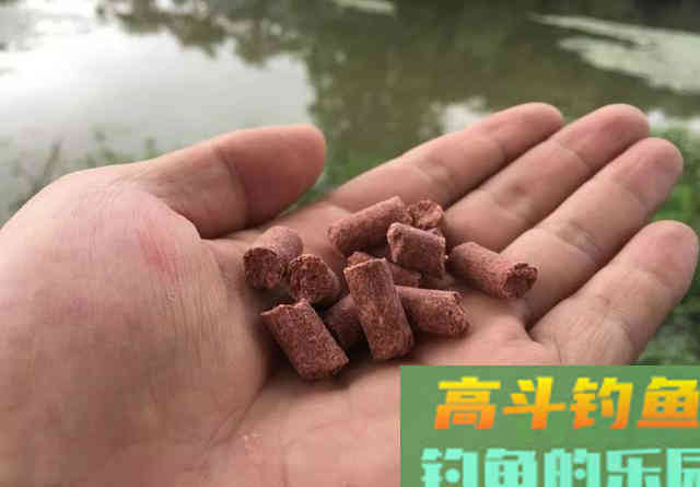 ​野钓用什么打窝最省钱，一捧颗粒两把米，大小通杀